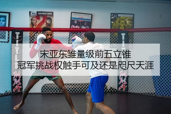 宋亚东雏量级前五立锥 冠军挑战权触手可及还是咫尺天涯